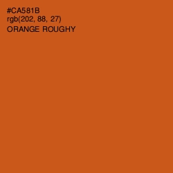 #CA581B - Orange Roughy Color Image