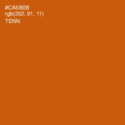 #CA5B0B - Tenn Color Image