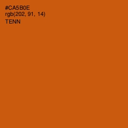 #CA5B0E - Tenn Color Image