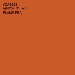 #CA5B28 - Flame Pea Color Image