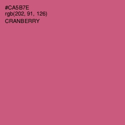 #CA5B7E - Cranberry Color Image