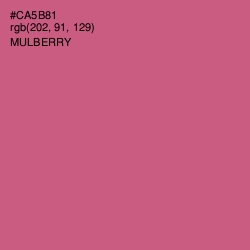 #CA5B81 - Mulberry Color Image