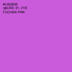 #CA5BDB - Fuchsia Pink Color Image