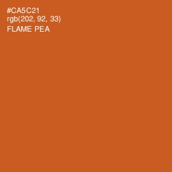 #CA5C21 - Flame Pea Color Image