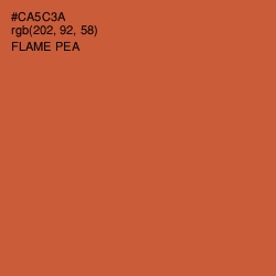 #CA5C3A - Flame Pea Color Image