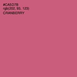 #CA5D7B - Cranberry Color Image