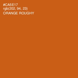 #CA5E17 - Orange Roughy Color Image