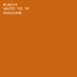 #CA6410 - Indochine Color Image