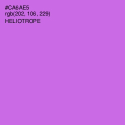 #CA6AE5 - Heliotrope Color Image