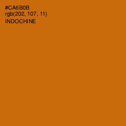 #CA6B0B - Indochine Color Image