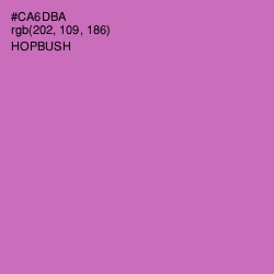 #CA6DBA - Hopbush Color Image