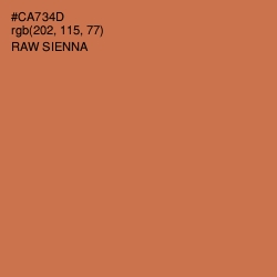 #CA734D - Raw Sienna Color Image