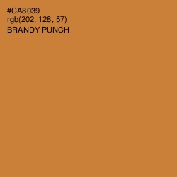#CA8039 - Brandy Punch Color Image
