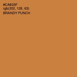#CA803F - Brandy Punch Color Image