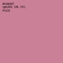 #CA8097 - Puce Color Image