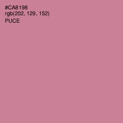 #CA8198 - Puce Color Image