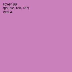 #CA81BB - Viola Color Image