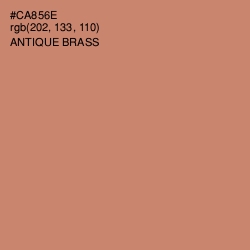 #CA856E - Antique Brass Color Image