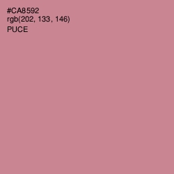 #CA8592 - Puce Color Image