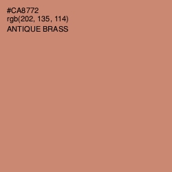 #CA8772 - Antique Brass Color Image