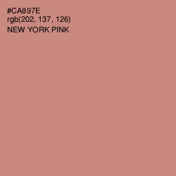 #CA897E - New York Pink Color Image