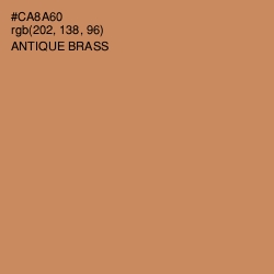 #CA8A60 - Antique Brass Color Image