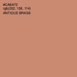 #CA8A72 - Antique Brass Color Image