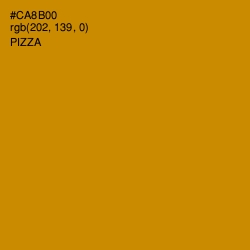 #CA8B00 - Pizza Color Image