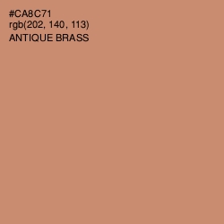 #CA8C71 - Antique Brass Color Image