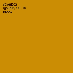 #CA8D03 - Pizza Color Image