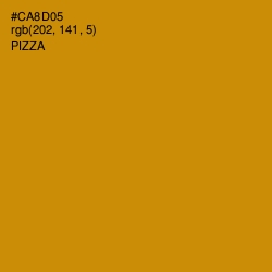 #CA8D05 - Pizza Color Image