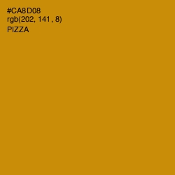 #CA8D08 - Pizza Color Image