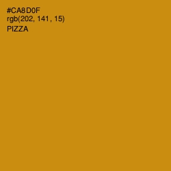 #CA8D0F - Pizza Color Image