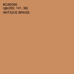 #CA8D60 - Antique Brass Color Image