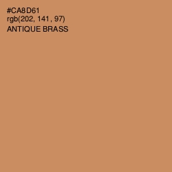 #CA8D61 - Antique Brass Color Image