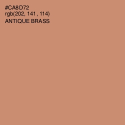 #CA8D72 - Antique Brass Color Image