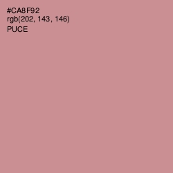 #CA8F92 - Puce Color Image