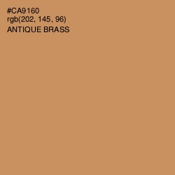 #CA9160 - Antique Brass Color Image