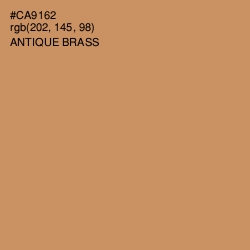 #CA9162 - Antique Brass Color Image