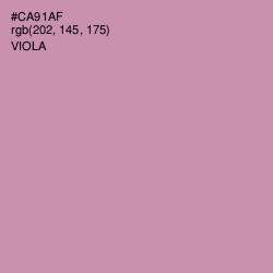 #CA91AF - Viola Color Image