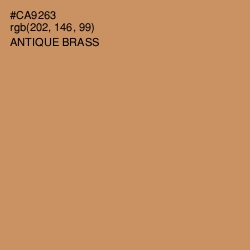 #CA9263 - Antique Brass Color Image
