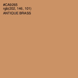 #CA9265 - Antique Brass Color Image