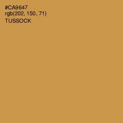 #CA9647 - Tussock Color Image