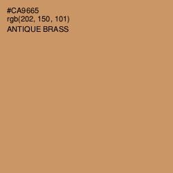 #CA9665 - Antique Brass Color Image