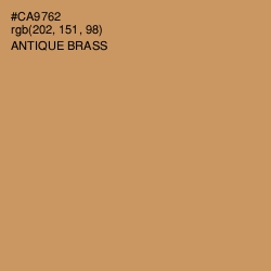 #CA9762 - Antique Brass Color Image