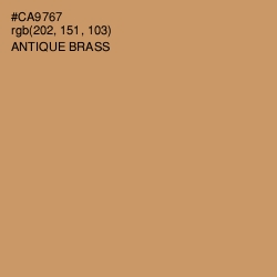 #CA9767 - Antique Brass Color Image