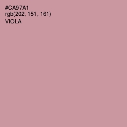 #CA97A1 - Viola Color Image