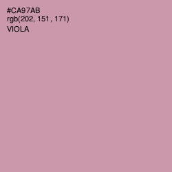 #CA97AB - Viola Color Image