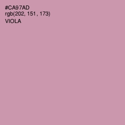 #CA97AD - Viola Color Image