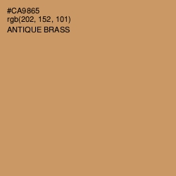 #CA9865 - Antique Brass Color Image